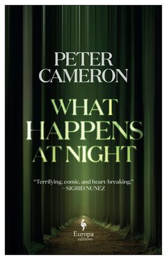 Cover: What Happens at Night - Peter Cameron